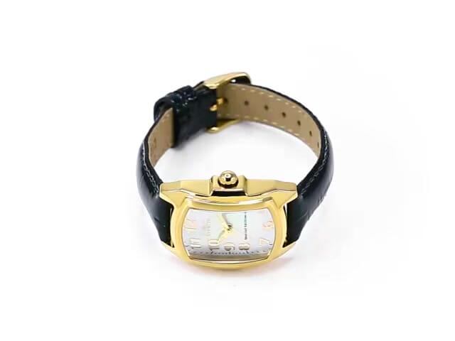 Invicta lupah hotsell watch bands replacement